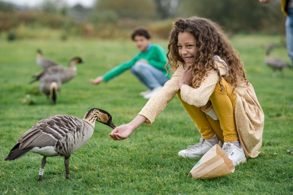 Slimbridge Wins ‘Family Day Out Venue of the Year 2021’ at the So Glos Awards